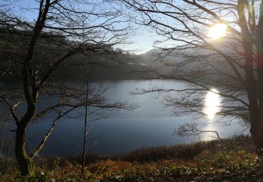 Excursión Senderismo Stavelot - rando autour du lac de Coo - Photo