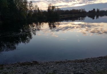 Randonnée Marche Vaulx-en-Velin - Miribel  le 20 nov 2019 - Photo