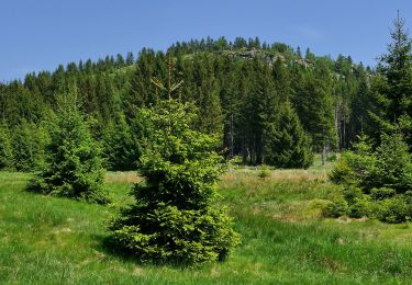 Tour Zu Fuß Bad Harzburg - Teufelsstieg - Photo