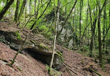 Percorso Marcia Les Planches-près-Arbois - cascade des tufs reculées des planches les belvédère la conque  - Photo