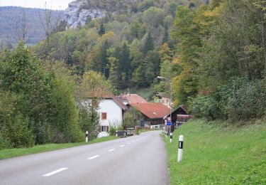 Tour Zu Fuß Muriaux - Muriaux - Goumois - Photo