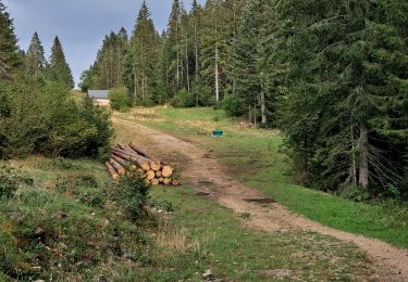 Tocht Stappen Saint-Antoine - Boucle du fort St Antoine  - Photo