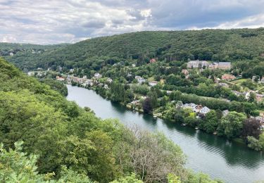Tour Wandern Profondeville -  RB-NA-20-R2 / Profondeville / 2020-07-11 / 15 km - Photo
