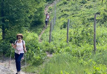 Trail Nordic walking Coye-la-Forêt - Marche sportive Coye - Photo