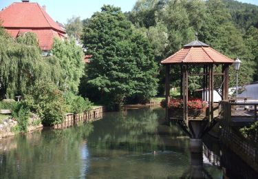 Percorso A piedi Velden - Rundweg Velden – Gelbring - Photo