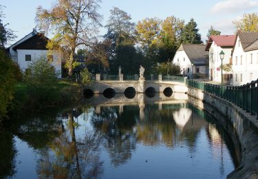 Excursión A pie Gemeinde Litschau - AT-16 - Photo