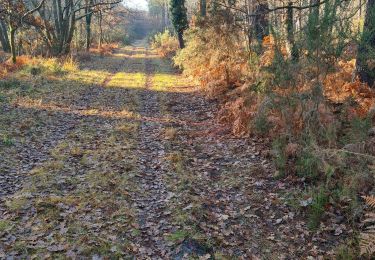 Tour Nordic Walking Cestas -  Reco Pinoche 22/12/2021 - Photo