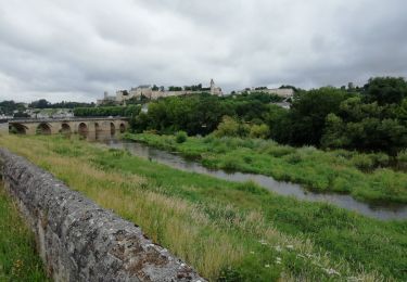 Tour Mountainbike Ligré - 37-vtt-Ligré-ruisseau-st-Mexme-27km-juin21 - Photo