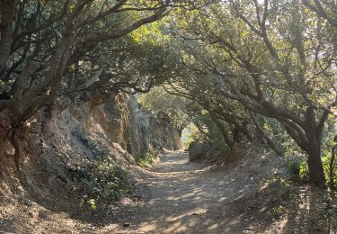 Excursión sport Hyères - GIENS - Photo