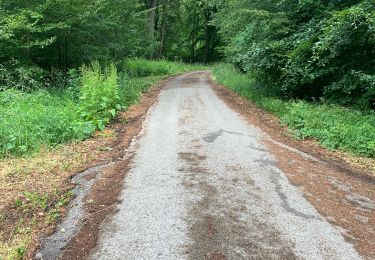 Tour Wandern Huby-Saint-Leu - Balade dans la forêt d’Hesdin 1 - Photo