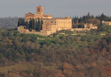 Percorso A piedi Pienza - Sodoma - Photo