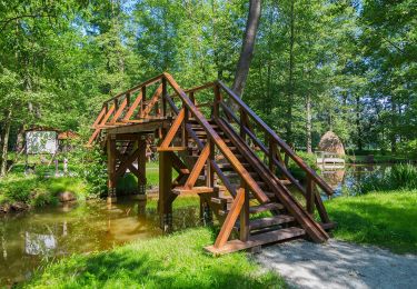 Tour Zu Fuß Vetschau/Spreewald - Rundwanderweg Schwarzer Berg - Photo