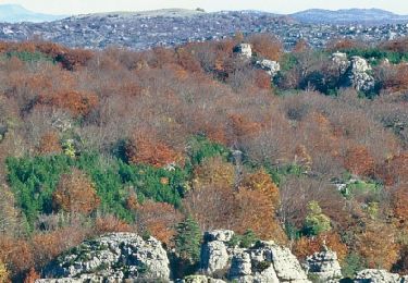 Trail Walking Lauroux - Lauroux - l'Escandorgue - Photo