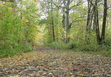 Randonnée A pied Bělá nad Radbuzou - 3 Nepomukweg - Photo