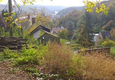 Randonnée Marche Namur - Jambes citadelle la Plante - Photo