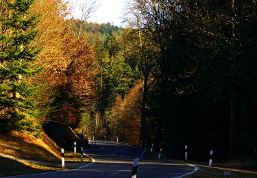 Randonnée A pied Simmersfeld - Ettmannsweiler Marktgasse-Beurener Berg - Photo