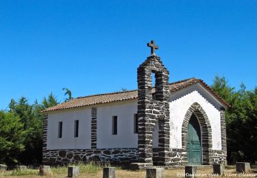 Excursión A pie Ermelo e Pardelhas - Caminhos da Senhora da Graça: Ermelo - Senhora da Graça - Photo