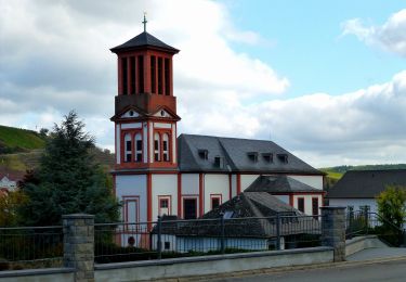 Excursión A pie Wallhausen - VitalTour: Stein, Wein & Farbe - Photo