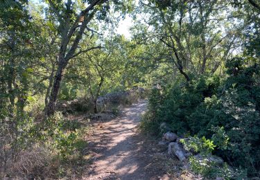 Tour Wandern Chauzon - Cirque de Gens - Photo