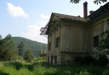 Excursión A pie okres Prešov - Krajinný chodník - Photo