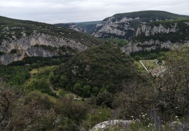 Trail Walking Vallon-Pont-d'Arc - chames - Photo