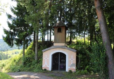 Tour Zu Fuß Oberhaag - Steirisch - slowenischer Weg - Photo