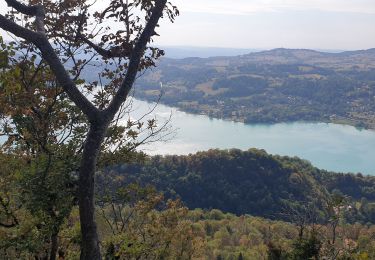 Tocht Stappen Aiguebelette-le-Lac - aiguebelette, col du crucifix - Photo