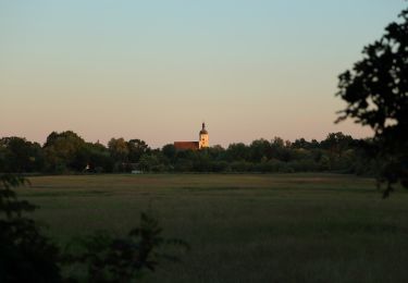 Percorso A piedi Lübben (Spreewald) - Wanderweg Lübben-Schönwalde - Photo