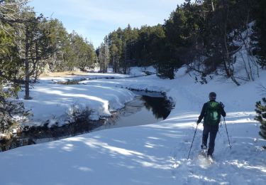 Excursión Raquetas de nieve Les Angles - 2021-02-11 Sortie CAF - Les Angles - vers les Camporells - Photo