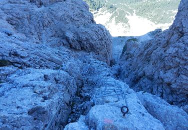 Trail On foot Primiero San Martino di Castrozza - Sentiero attrezzato della Lasta moia - Photo