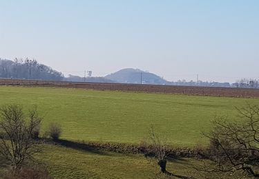Tocht Stappen Herve - 2021-02-28_19h05m57_1156 (1) - Photo