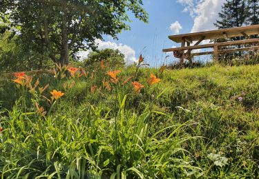 Tour Wandern Les Clefs - le sulens  - Photo