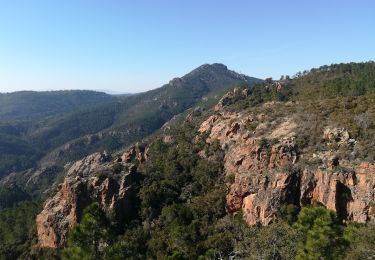 Tocht Mountainbike Saint-Raphaël - plan Pinet - Photo