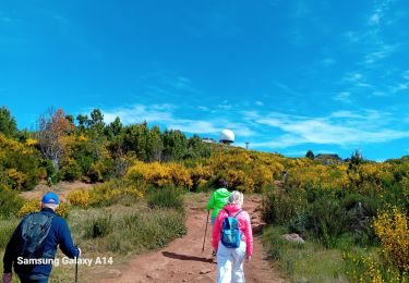 Tocht Stappen Monte - reco madeira - Photo