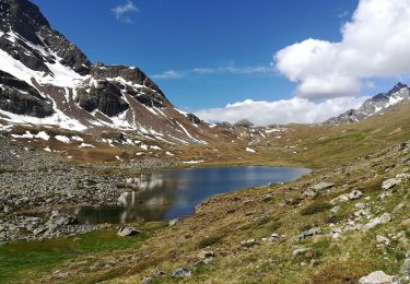 Tocht Te voet Grosio - (SI D32N) Malghera - Rifugio Val Viola - Photo