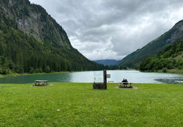 Randonnée sport Montriond - Lac de Montriond - Photo