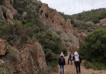 Trail On foot Saint-Raphaël - z le ravin du Perthus 25-02-20 - Photo