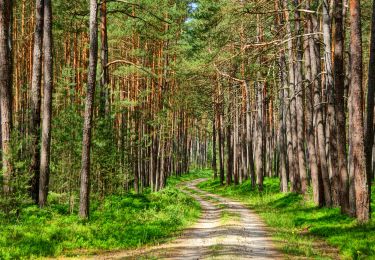 Tour Zu Fuß Heideck - Fuchsmühlweg - Photo