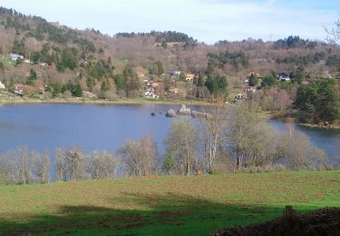 Tocht Stappen Aydat - lac de la cassiere  - Photo