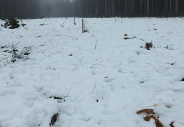 Percorso Marcia Waimes - botrange piste bleue - Photo