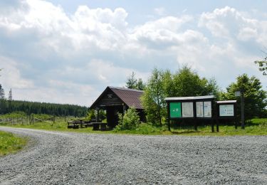 Randonnée A pied Winterberg - Silbach Rundweg Sb1 Fuchshohlweg - Photo