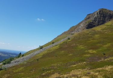 Randonnée Marche Murat-le-Quaire - banne  d'ordange - Photo