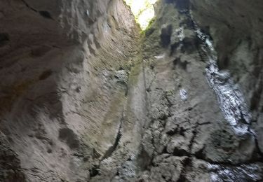 Trail Walking Septmoncel les Molunes - septmoncel - Photo