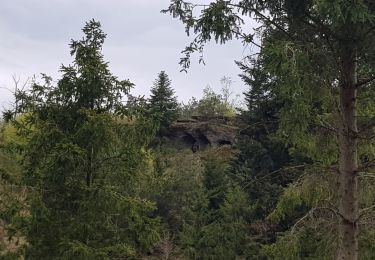 Randonnée Marche Lorquin - lorquin / roche au fées - Photo