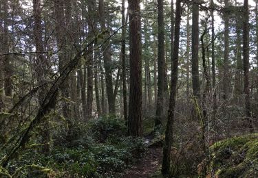 Trail Walking Saanich - Park Patrol 3: Grand Fir and Shooting Star trails.  - Photo