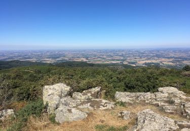 Tocht Mountainbike Sorèze - VTT Sorèze 1 - Photo