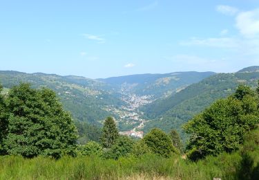 Percorso Marcia Saulxures-sur-Moselotte - Circuit depuis le col de lauvi - Photo
