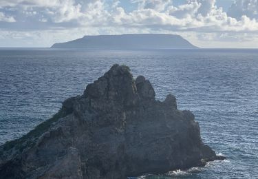 Tocht Lopen Saint-François - Anse  la gourde - Photo