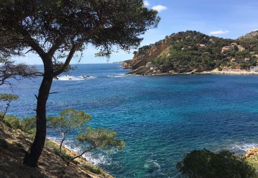 Tour Wandern Ensuès-la-Redonne - Méjean - La Redonne - Photo