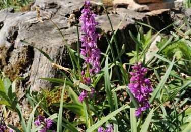 Trail Walking Nans - roches de Nans  - Photo